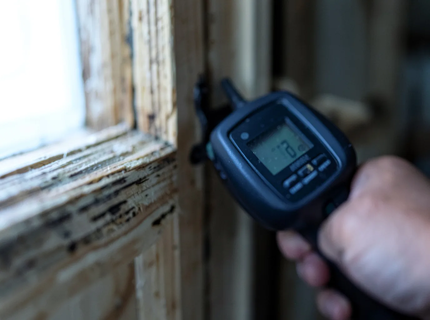 Moisture Inspection And Documentation in Loma, MT